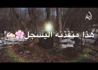  كامت الدنيا تنور بنور مهدينا حالات واتس اب BasimKarbalaei ولادة الحجة