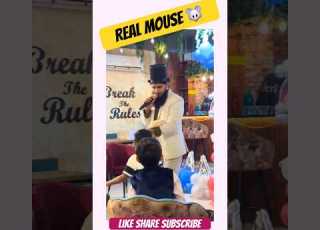  Magician Pulls LIVE Mouse From Hat At Kids Birthday Party