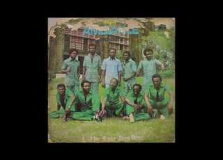SUPER AMBIANCE ORCHESTRA SURVIVAL