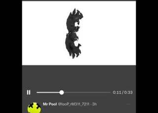  Mr Pool 4 3 22