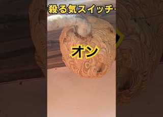 スズメバチ 蜂の巣のヤル気スイッチを押してみた 終末殺蜂家 スズメバチ キイロスズメバチ 蜂の巣