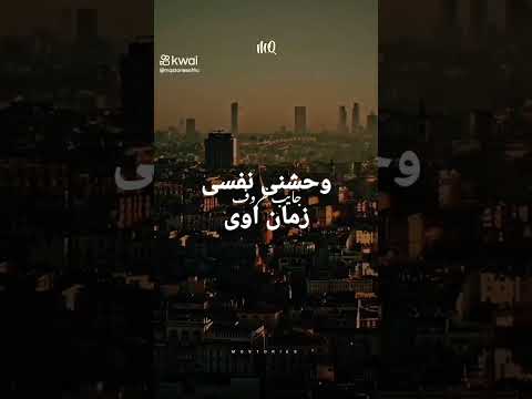 وحشنى نفسى زمان اوى