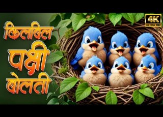  Kilbil Kilbil Pakshi Bolati Marathi 3D Rhymes For Kids Marathi Balgeet Badbad Geete ब लग त