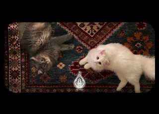  تلاوه تشرح ال وتبكي العين المنشاوي رحمه الله