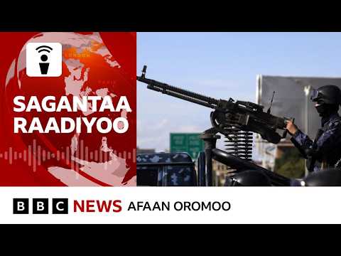 Huutiin Yaman Ulaa Daldalaa Galaana Diimaa Yoo Cufe Itoophiyaaf Balaa Akkamii Qaba