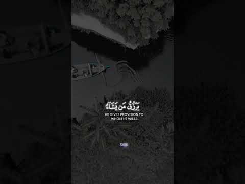 الله لطيف بعباده الشيخ علي جابر