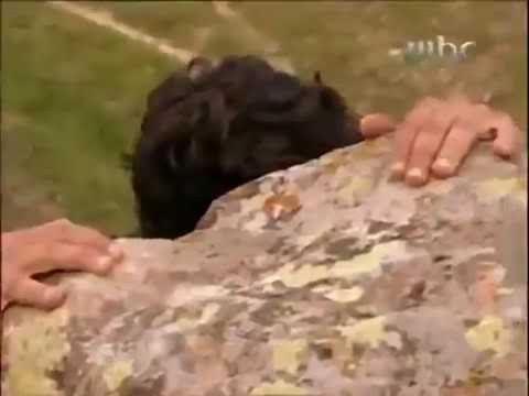 الارض الطيبة الجزء الثاني الحلقه 95 الحلقة المحذوفه من الجزء الثاني الارض الطيبة الجزء الثاني الحلقه 95 الحلقة المحذوفه من الجزء الثاني