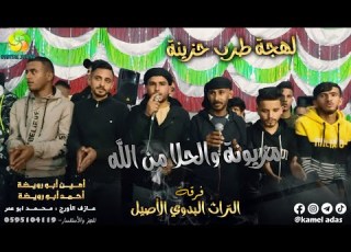 مــزيــونــة والــحــلا مــن الله لـهـجـة طـرب حـزيـنـة أمـيـن ابـو رويـضـة وأحـمـد ابـو رويضة