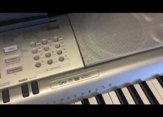  Casio WK 200