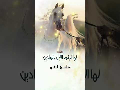 شيلة مدح لها الرقم الاول بالميادين