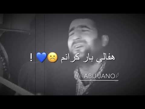 اجمل حالة واتس اب كردية هفالي بار كرانم هفالي شورش فانم هوزان دينو Hozao Dino اغاني كردية جديدة
