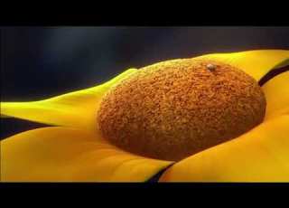 Horton Hears A Who 2008 Opening Scene