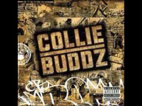 Collie Buddz Mamacita