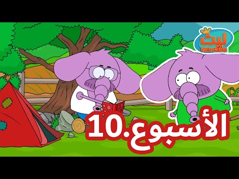عطلة فلافيلو الرائعة الأسبوع 10