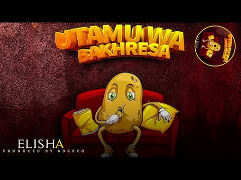 Dogo Elisha Utamu Wa Bakhresa Official Audio Singeli