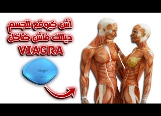 كيف تعمل الفياجرا في الجسم وماذا يحدث لجسمك عند تناول الفياجرا استفد