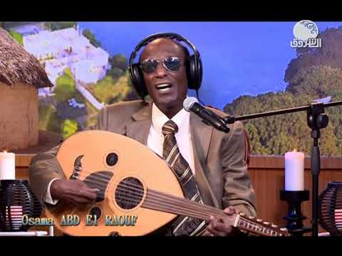 الاستاذ محمد الامين وعــــد النوار الاستاذ محمد الامين وعــــد النوار