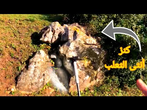 مفاجأة اكتشاف غرفة كنز مرتبطة بإشارة أنثى الذئب بعد الفحص بالأسياخ وتأكيد الهدف بجهاز حديث