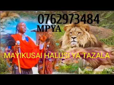 MAYIKUSAI HALUSI YA TAZALA MBASHA STUDIO 2022