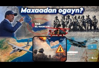 DF Oo Ku Gooddisey Inay Xiri Karto Baabul Mandab Ciidan Arrintaa Fulin Kara Oo La Diyaarinayo
