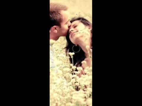 حالات واتس اب عمرو دياب انا بحبك اكتر