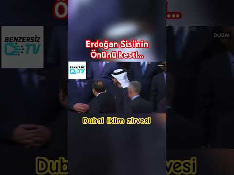 Erdoğan Sisi Görüşmesi