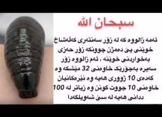 زانیاری گشتی زەرو یان زالوو چیە سوی چیە بۆچی لەهەندێک کاتدا وەک چارەسەر بەکاردێت