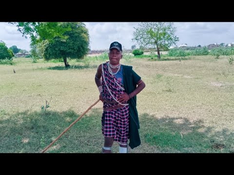 Ndama Nyingi Audio Official Sambazaji Nchemba Studio 2025