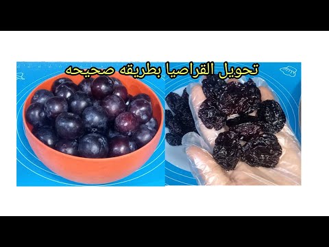 طريقه تجفيف البرقوق لعمل القراصيا في المنزل