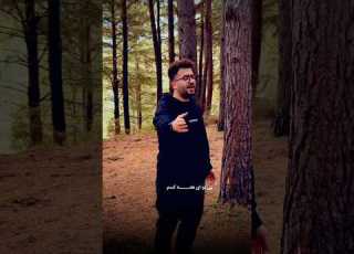  Ali Taba خزان آمد ولی این دل زمستان است