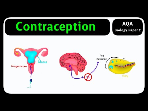GCSE Biology AQA Contraception Methods Explained 2026 Exams GCSE Biology AQA Contraception Methods Explained 2026 Exams