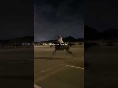 Nasheed Darbuna Darbun دربنا درب طويل نشید Nasheed Halalnasheed