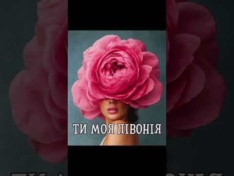 DIANAMusic Musicland Ти моя півонія