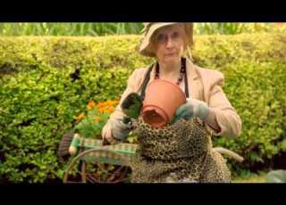 Teacup Travels