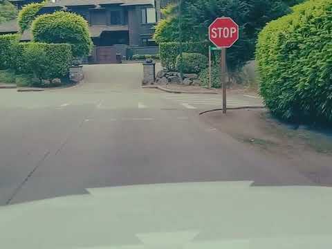 Ethiopian Best Of Best Music Abraham Negussie Banche Eko New