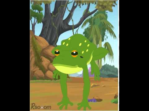 الضفدع مع طيور الجنة ابو تميم