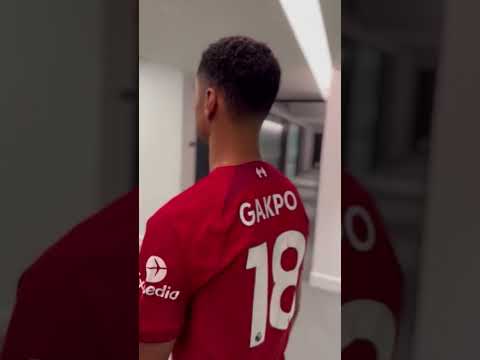 Cody Gakpo Shorts Gakpo Mercato