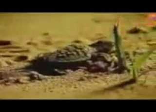 دعاية براعم 2013