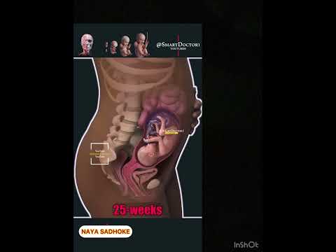 بچہ کتنے WEEK میں ماں کے پیٹ میں مکمل ہوتا ہے