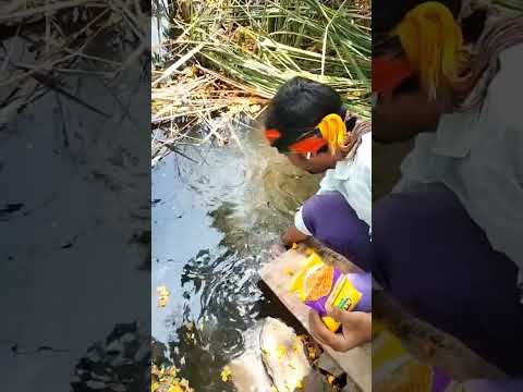 دابا كه شارك كارو اشترك كارو مثل كارو