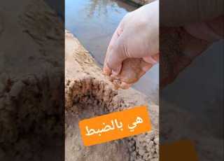  بعد انقراض السواقي في منطقتنا اختفت الكثير من الالعاب وطرق الاستمتاع بالخرجات السياحية الترفيهية