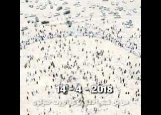 اجتماع قبائل الحكلي