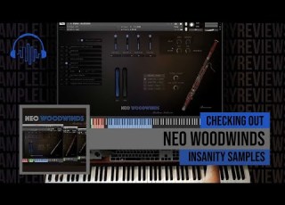 Checking Out Neo Woodwinds By Insanity Samples