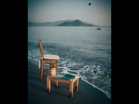 محمد منير ناداني من يميني