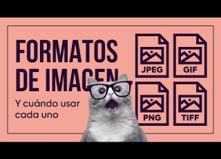  Image Formats For BITMAPS JPG GIF PNG And TIFF