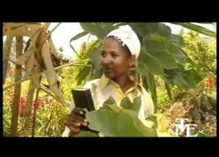 Sidama 3