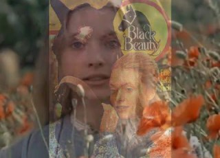  Judi Bowker The Years 1972 1981