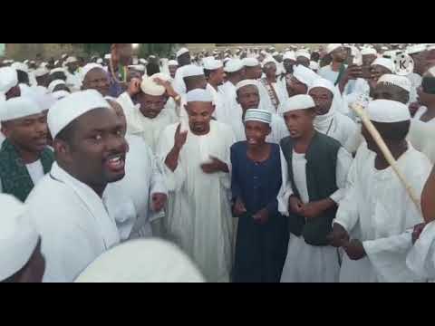 رأيت الناس افواجا شيخ نورين محمد صديق