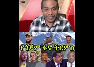 የጎጃም ፋኖ ትርምስ