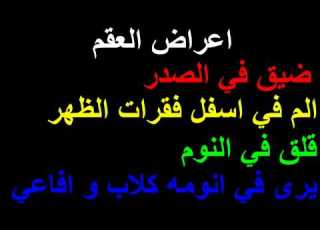 30 61 95 0797 شيخ فتحي Cheikh Feth